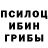 Галлюциногенные грибы мухоморы Phoenix 2019