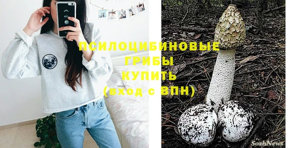тгк Михайлов
