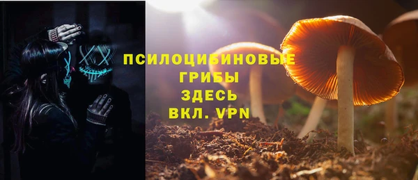 прущая мука Наволоки