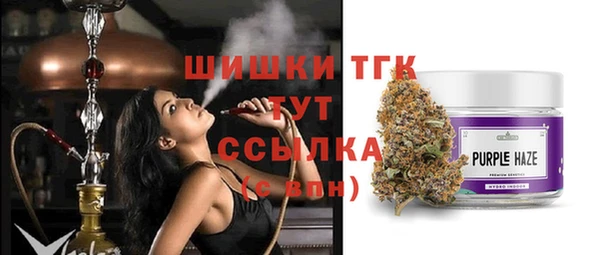 хмурый Надым