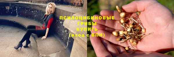 хмурый Надым