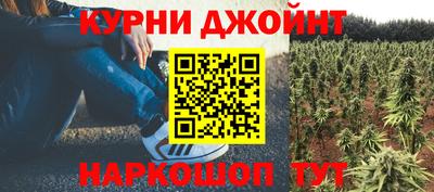 ГАЛЛЮЦИНОГЕННЫЕ ГРИБЫ Гусь-Хрустальный