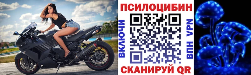 где купить наркоту Кулебаки Псилоцибиновые грибы мицелий