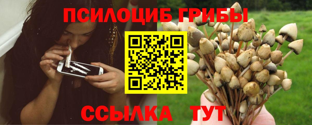 Галлюциногенные грибы Psilocybine cubensis  Вход с VPN  Кулебаки 